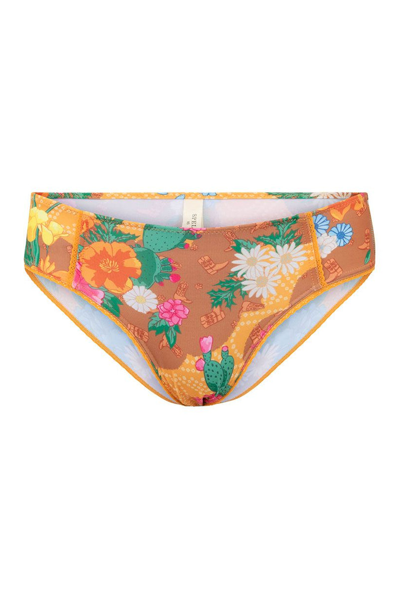 Joshua Tree Bloomers